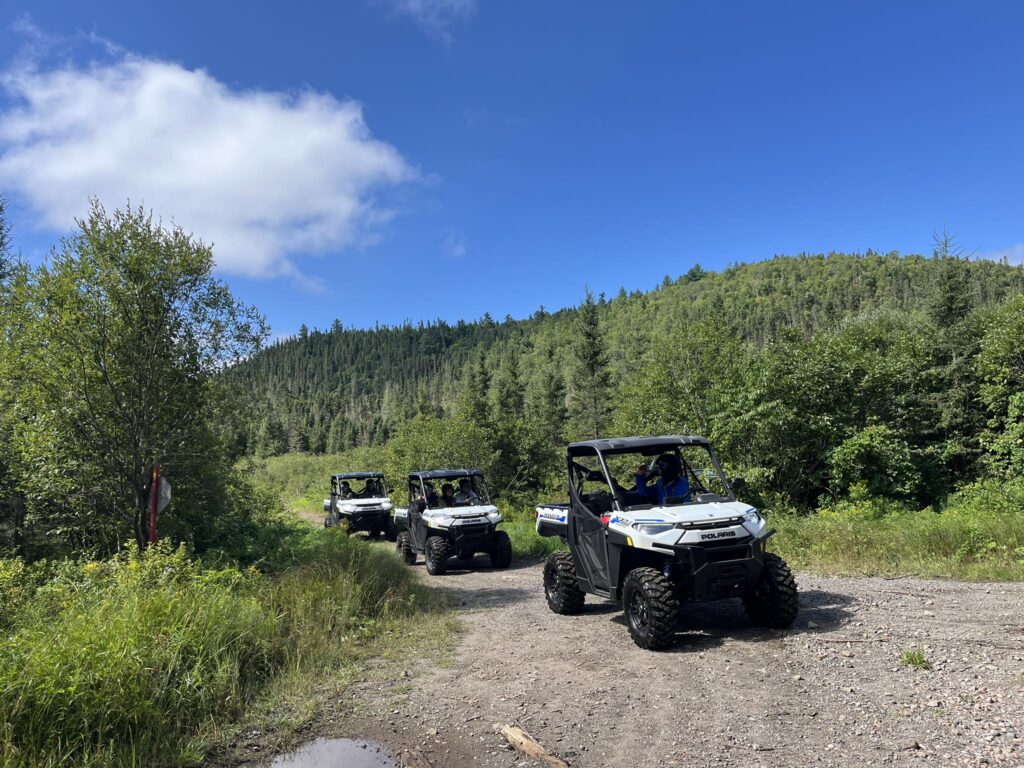 Photo Quads électriques